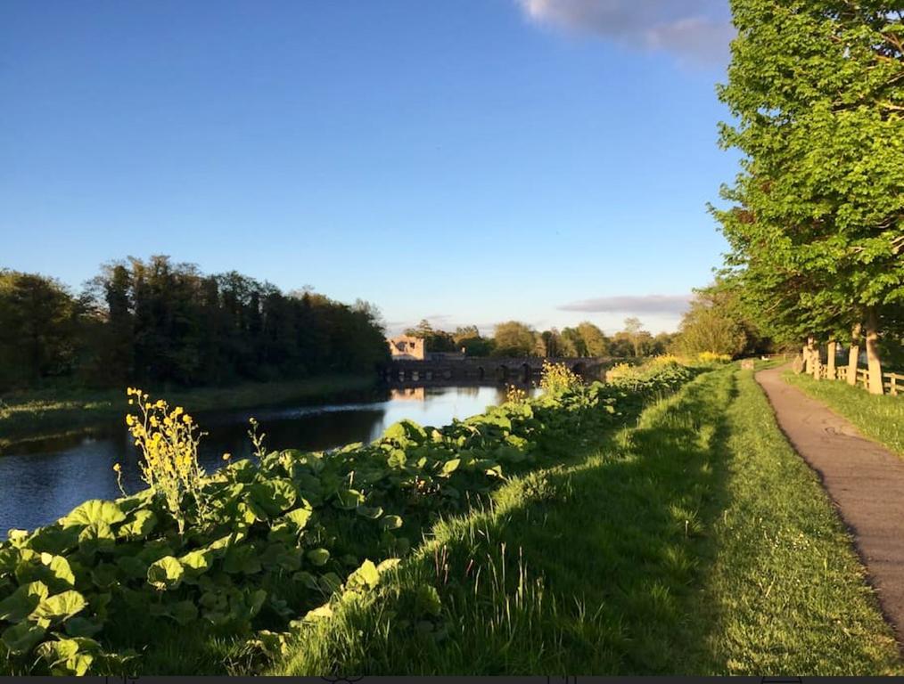 Adare Luxury Riverside Apartment Limerick Junction Eksteriør bilde